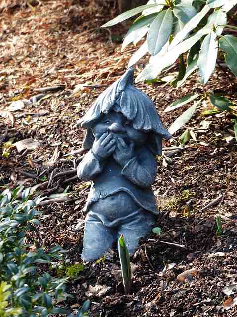 Dwarf in the garden
